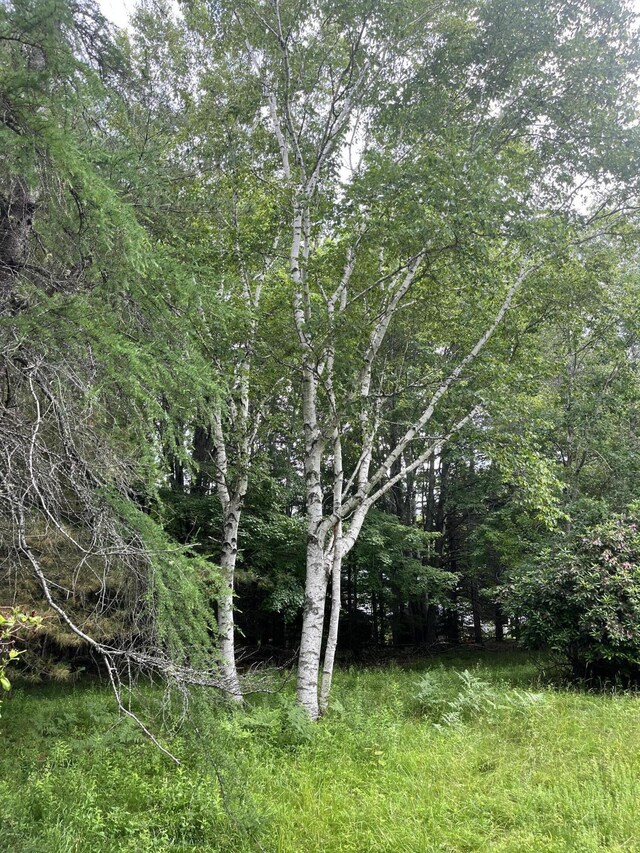 0 Fish Point Rd, Hancock, ME 04640 - photo 8