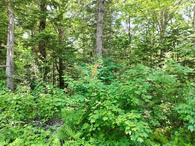LOT6 Mattamiscontis Rd, Mattamiscontis Twp, ME 04457 - photo 7