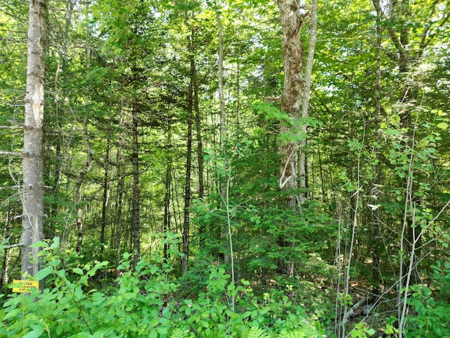 LOT6 Mattamiscontis Rd, Mattamiscontis Twp, ME 04457 - photo 9