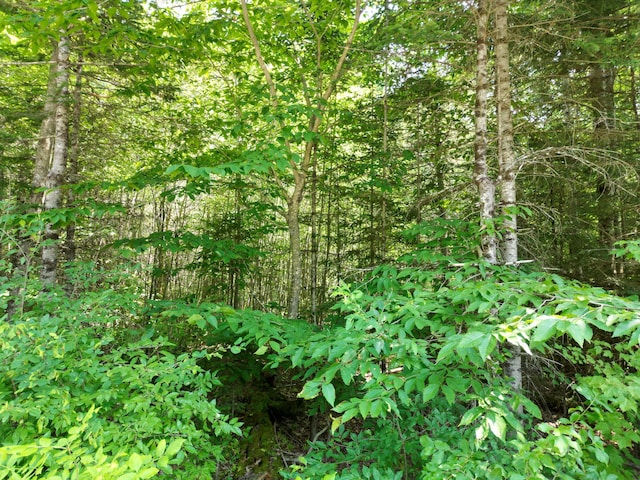LOT6 Mattamiscontis Rd, Mattamiscontis Twp, ME 04457 - photo 10