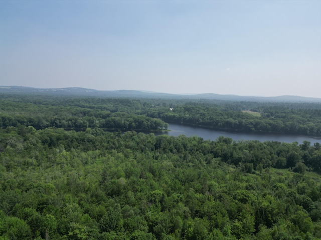 LOT6 Mattamiscontis Rd, Mattamiscontis Twp, ME 04457 - photo 12