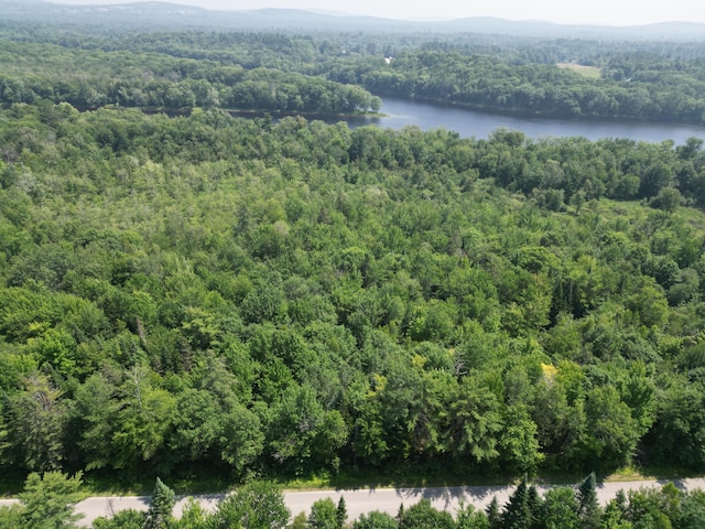 LOT6 Mattamiscontis Rd, Mattamiscontis Twp, ME 04457 - photo 13