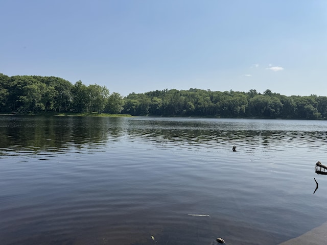 LOT6 Mattamiscontis Rd, Mattamiscontis Twp, ME 04457 - photo 19
