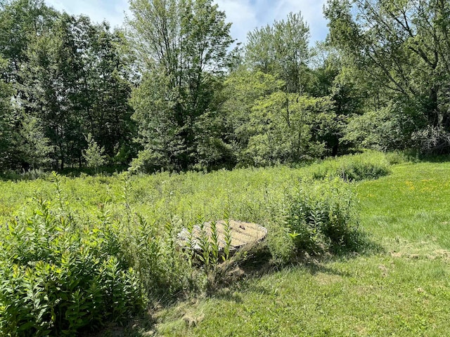 249 Blacks Woods Rd, Cherryfield, ME 04622 - photo 13