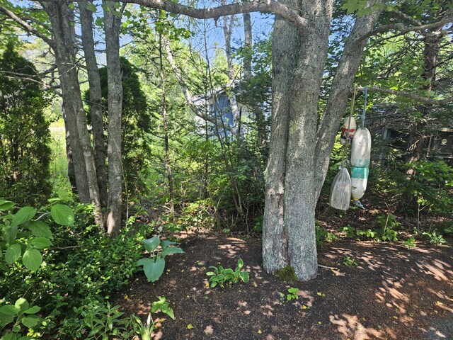 541 Mason Bay Rd, Jonesport, ME 04649 - photo 60