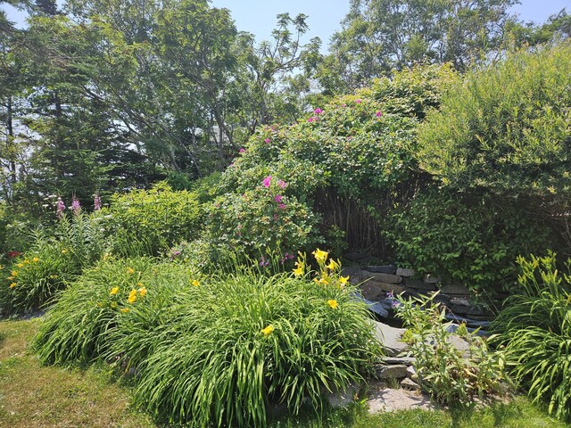 541 Mason Bay Rd, Jonesport, ME 04649 - photo 76