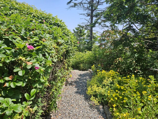 541 Mason Bay Rd, Jonesport, ME 04649 - photo 77