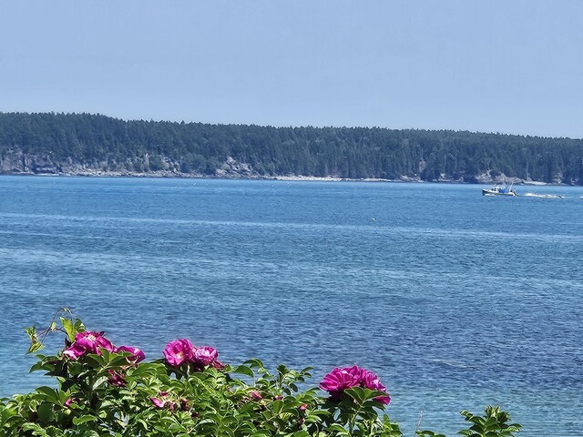 541 Mason Bay Rd, Jonesport, ME 04649 - photo 89