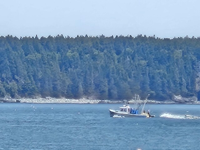 541 Mason Bay Rd, Jonesport, ME 04649 - photo 91