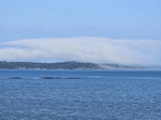 541 Mason Bay Rd, Jonesport, ME 04649 - photo 92