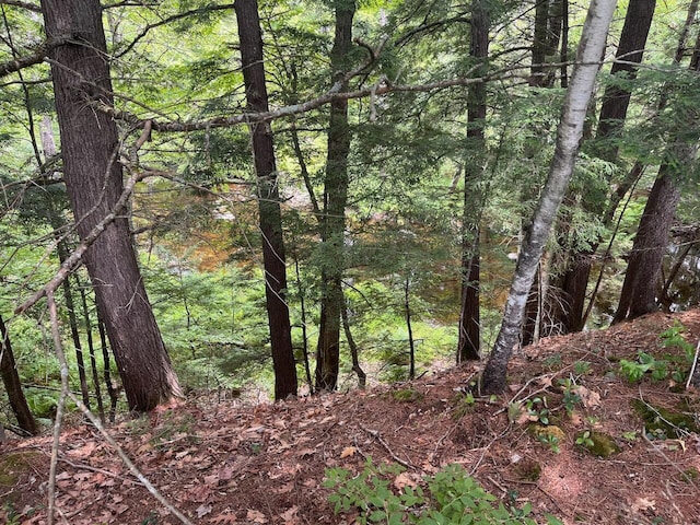 609 N Bridgton Rd, Bridgton, ME 04040 - photo 12