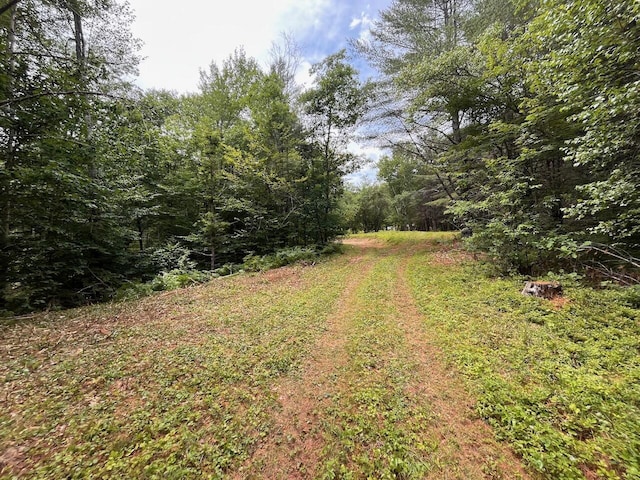 609 N Bridgton Rd, Bridgton, ME 04040 - photo 4