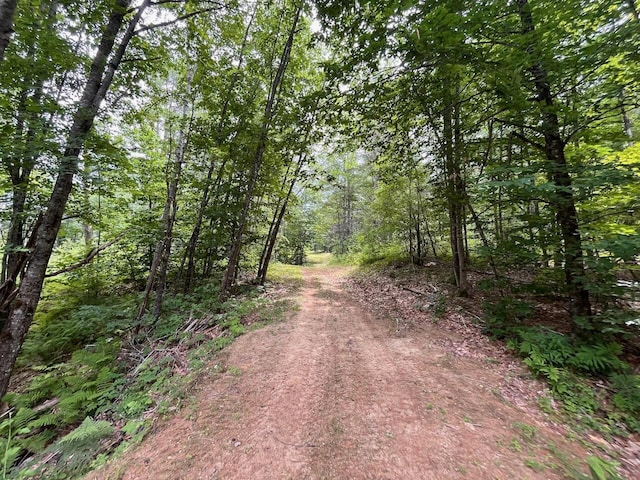 609 N Bridgton Rd, Bridgton, ME 04040 - photo 7