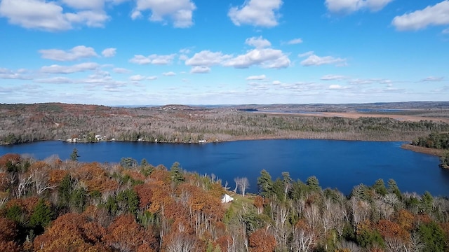 2-16 Packard Rd, Plymouth, ME 04969 - photo 18