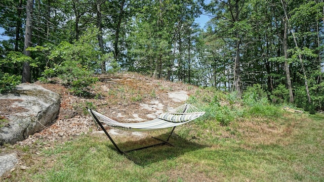 21 Hallczuk Rd, Biddeford, ME 04005 - photo 74