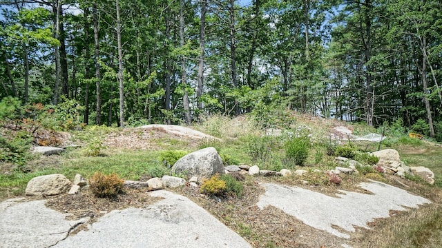 21 Hallczuk Rd, Biddeford, ME 04005 - photo 77