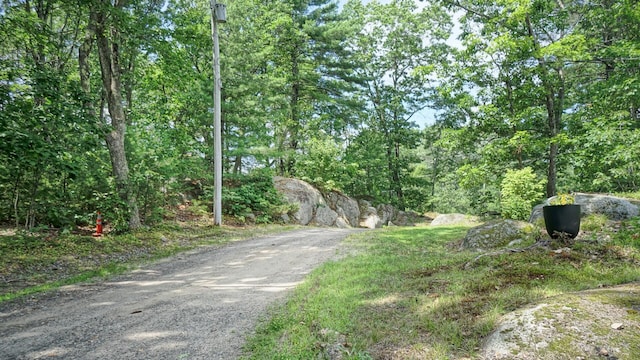 21 Hallczuk Rd, Biddeford, ME 04005 - photo 78