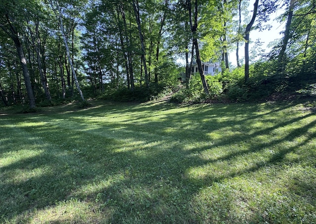 7 Pond Rd, Abbot, ME 04406 - photo 61
