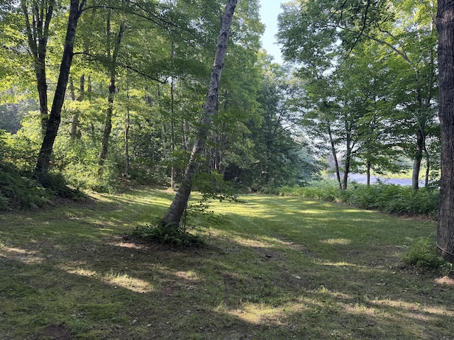 7 Pond Rd, Abbot, ME 04406 - photo 63