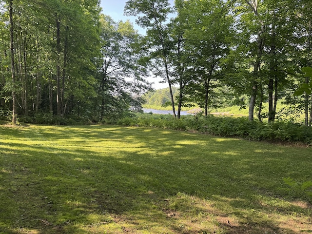 7 Pond Rd, Abbot, ME 04406 - photo 64