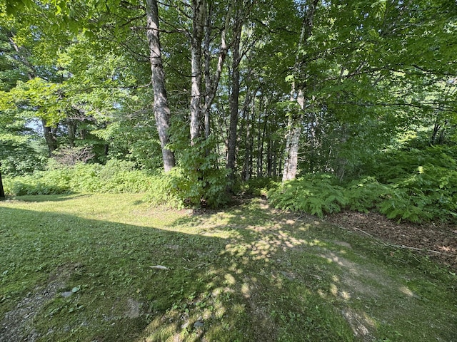 7 Pond Rd, Abbot, ME 04406 - photo 65