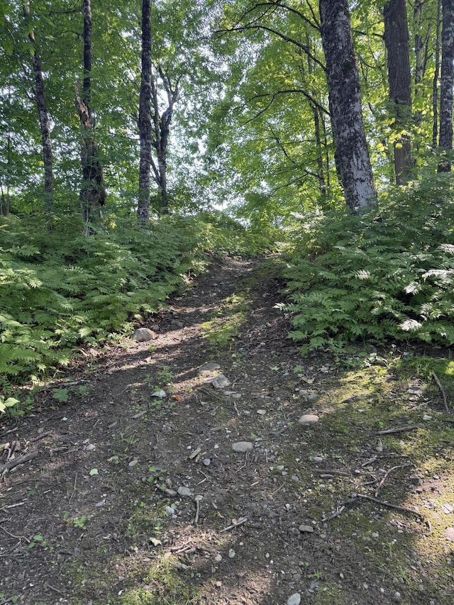 7 Pond Rd, Abbot, ME 04406 - photo 60
