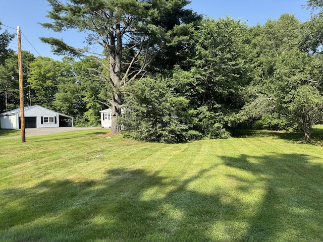 7 Pond Rd, Abbot, ME 04406 - photo 55