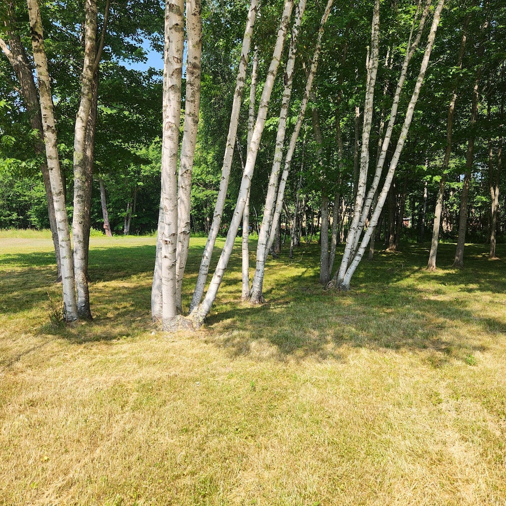 61 Water St, Howland, ME 04448 - photo 1