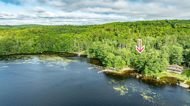 41 Wildwood Ln, Orland, ME 04472 - photo 53