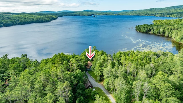 41 Wildwood Ln, Orland, ME 04472 - photo 3