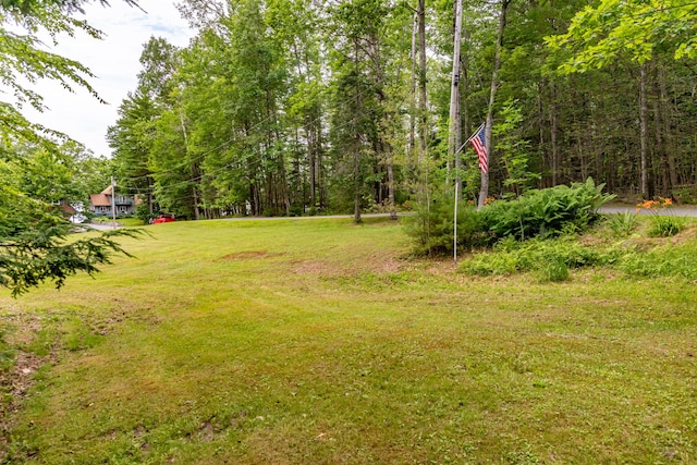41 Wildwood Ln, Orland, ME 04472 - photo 60