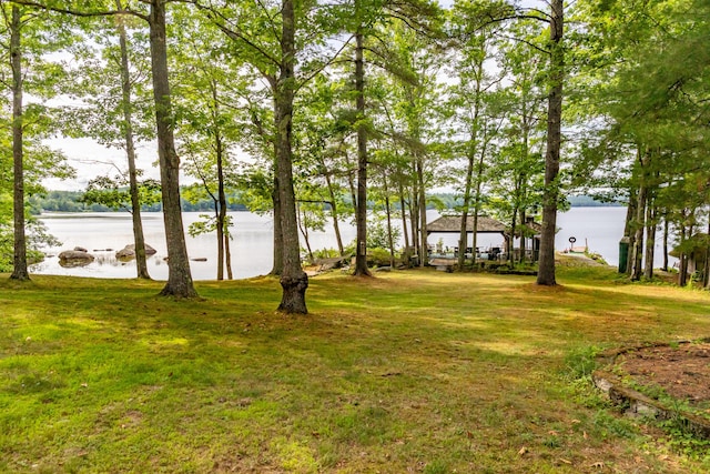 41 Wildwood Ln, Orland, ME 04472 - photo 15