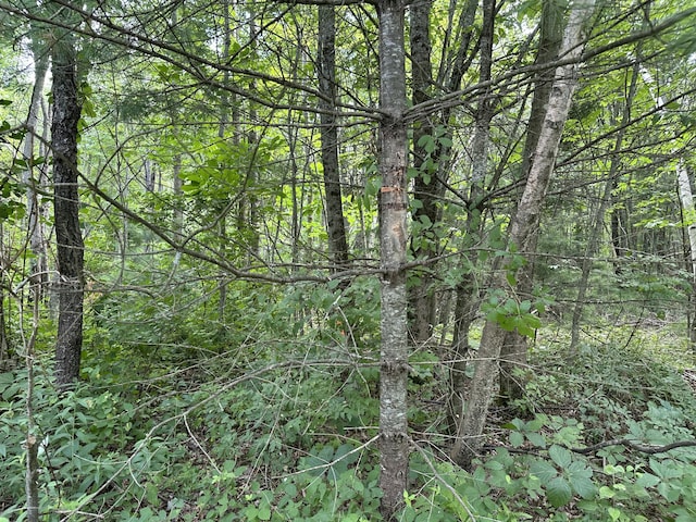 M40L13-6 Mallard Rd, Madison, ME 04950 - photo 6