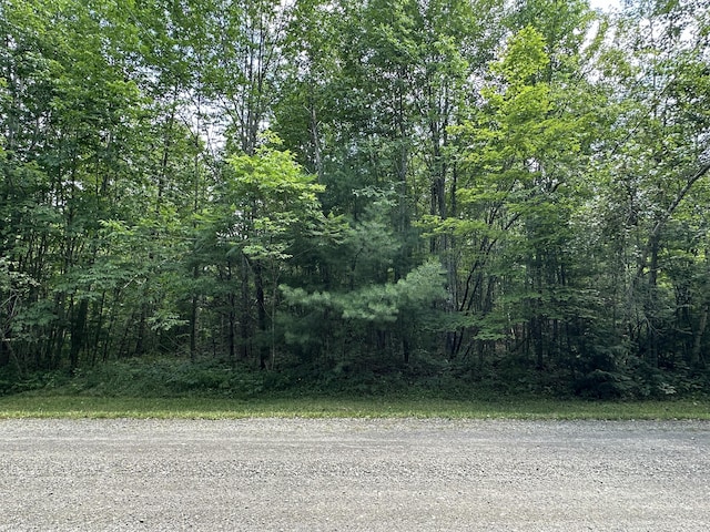 M40L13-6 Mallard Rd, Madison, ME 04950 - photo 3