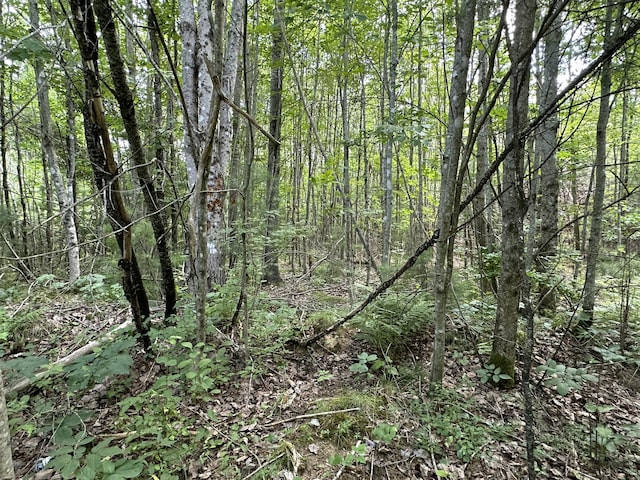 M40L13-6 Mallard Rd, Madison, ME 04950 - photo 7