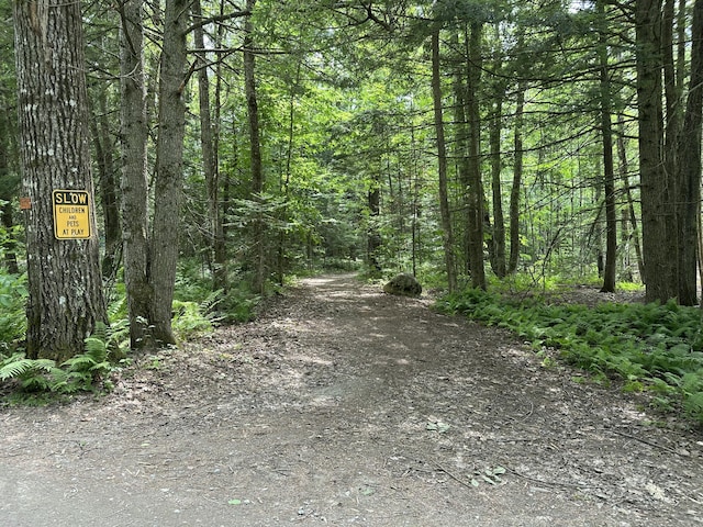 M40L13-6 Mallard Rd, Madison, ME 04950 - photo 8