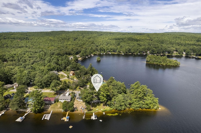 16 Krams Point Rd, Gray, ME 04039 - photo 49