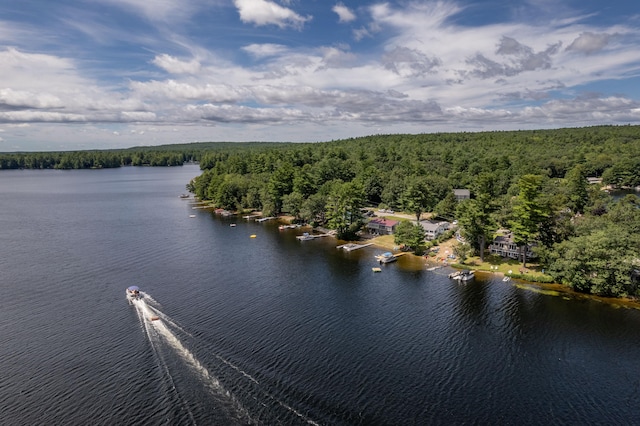 16 Krams Point Rd, Gray, ME 04039 - photo 50