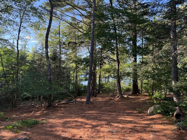 45 Oak Point Rd, Penobscot, ME 04476 - photo 33