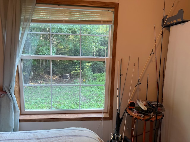 45 Oak Point Rd, Penobscot, ME 04476 - photo 30