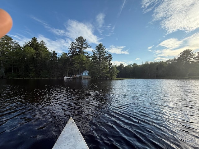 45 Oak Point Rd, Penobscot, ME 04476 - photo 5