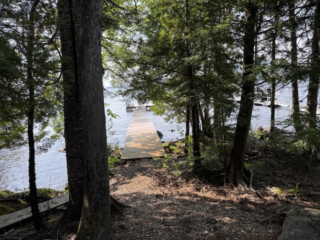 9 Alice Dr, Greenville, ME 04441 - photo 68