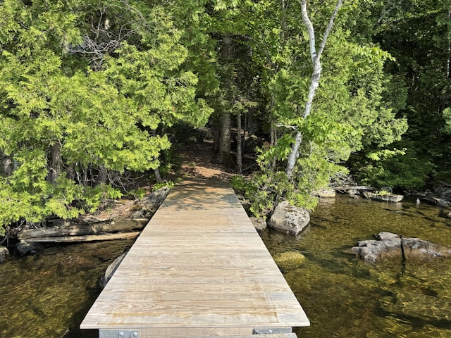 9 Alice Dr, Greenville, ME 04441 - photo 71