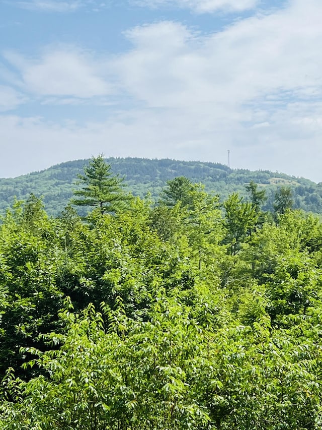 89 Mattson Ln, Blue Hill, ME 04614 - photo 42