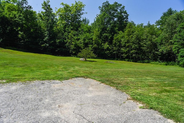 16 Pinetree Ln, West Paris, ME 04289 - photo 9