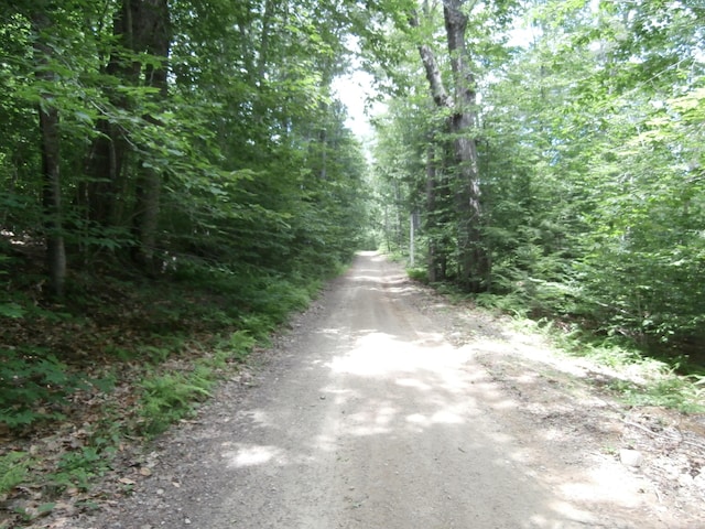 LOT005 Hebo Hybo Rd, Acton, ME 04001 - photo 3