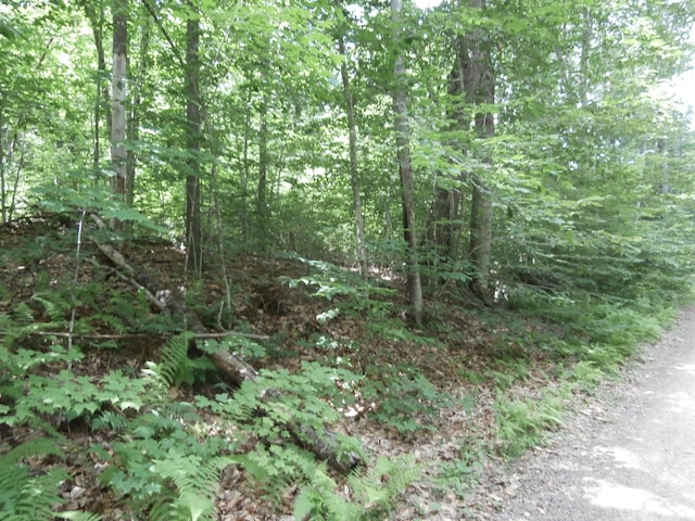LOT005 Hebo Hybo Rd, Acton, ME 04001 - photo 1