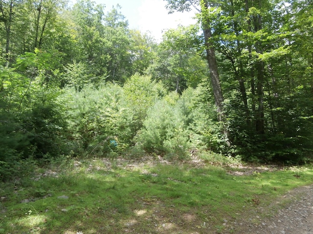 LOT005 Hebo Hybo Rd, Acton, ME 04001 - photo 2