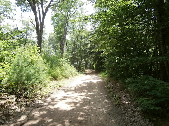 LOT005 Hebo Hybo Rd, Acton, ME 04001 - photo 4