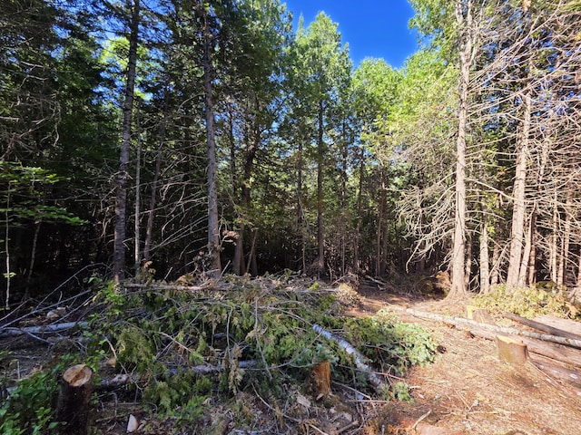 36 S Rd, Lee, ME 04455 - photo 14